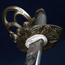 British Victorian Royal Horse Guards Post-1832 Officer’s Sword of Cornet George W P Woodroffe , 1862 19